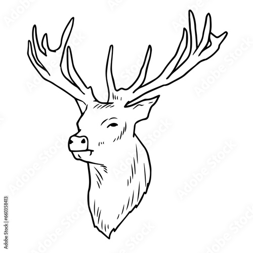 Lineart or contour drawing of a deer head with antlers.
