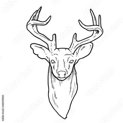 Lineart or contour drawing of a deer head with antlers. 