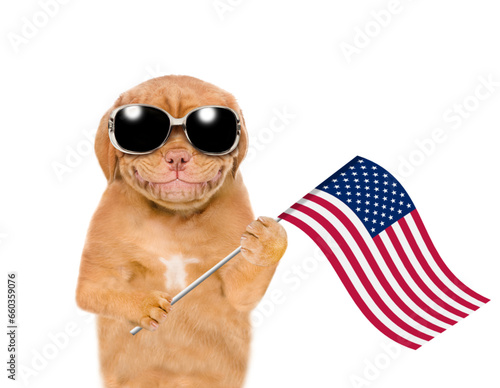 Mastiff Puppy wearing sunglasses holds American (USA) flag in it paw. isolated on white background © Ermolaev Alexandr