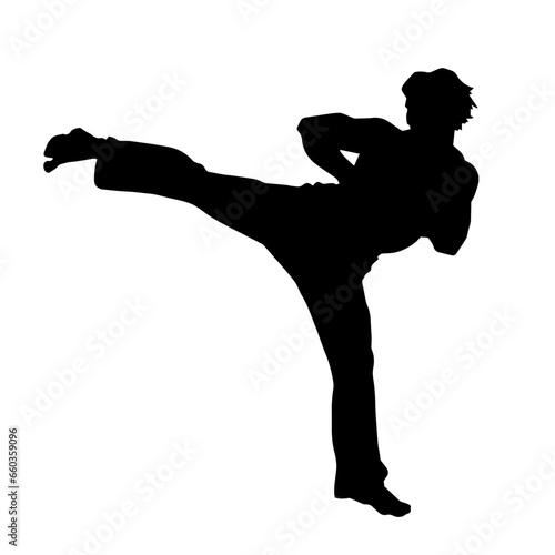 Silhouette of a male model doing martial art kick pose. Silhouette of a martial art kicking pose. © anom_t