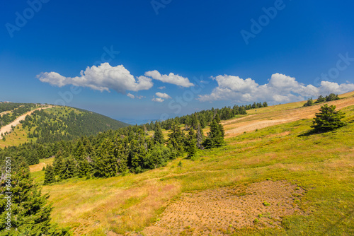 Peaceful mountain summer landscape, lush forest and blue sky with clouds.