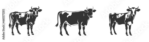 Cow silhouette isolated on a white background