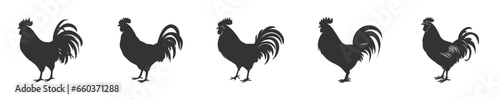Rooster silhouette set. Vector illustration