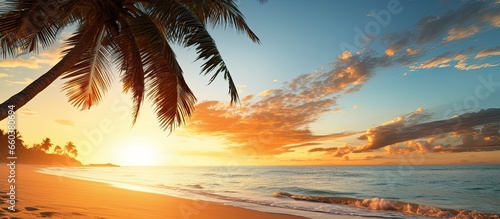 Sunrise over sandy beach with palm trees With copyspace for text