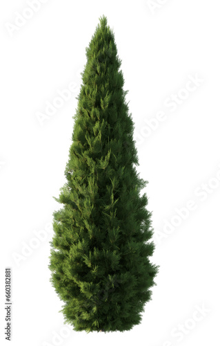 Collection of isolated vegetation