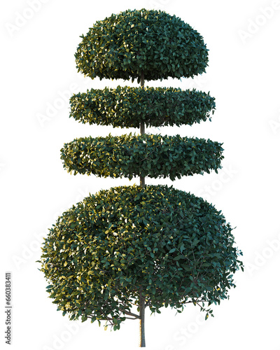 Collection of isolated vegetation
