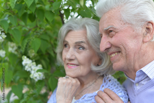 Portrait of beautiful senior couple hugging on a lilac background in the park