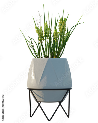 Collection of isolated vegetation