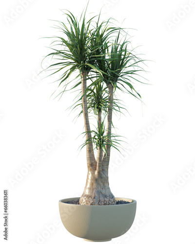 Collection of isolated vegetation