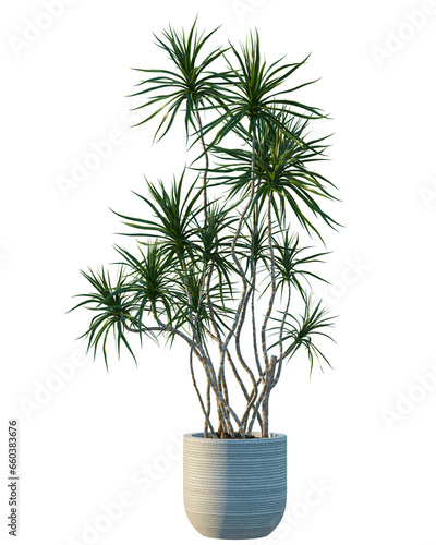 Collection of isolated vegetation
