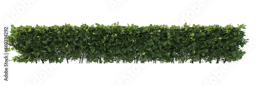 Collection of isolated vegetation