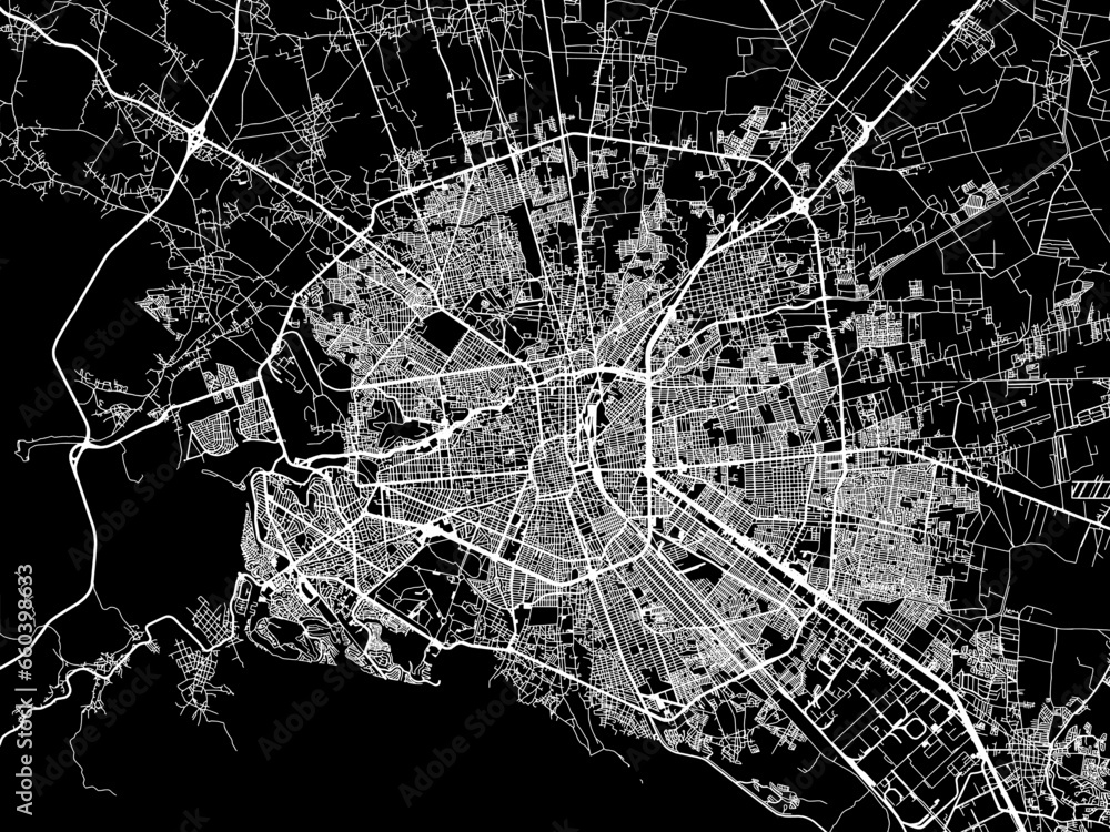 Vector road map of the city of  San Luis Potosi in Mexico with white roads on a black background.