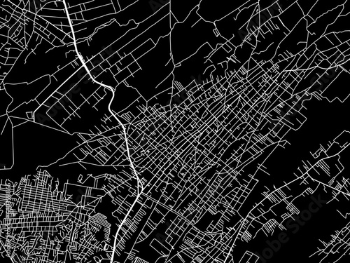 Vector road map of the city of Villa Vicente Guerrero in Mexico with white roads on a black background.