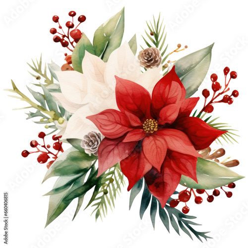 Watercolor Christmas Poinsettia  isolated clipart