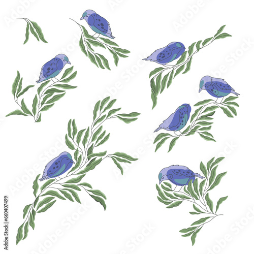 vector collection of birds on branches