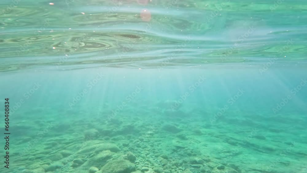 Underwater of the Maddalena sea in Sardinia Underwater of the Maddalena sea in Sardinia