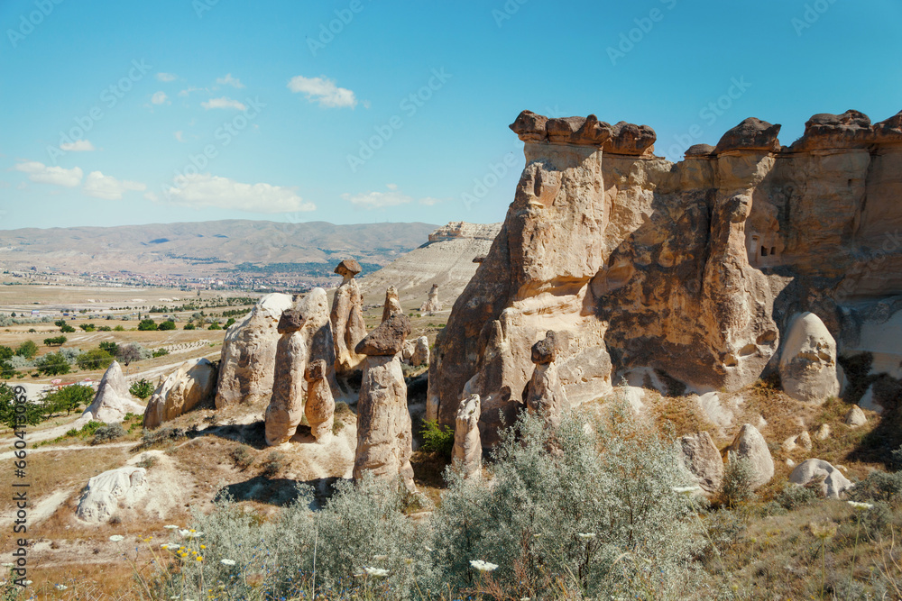 Fototapeta premium Unique geological rock formations Fairy Chimneys in Cappadocia. Popular touristic area in Turkey