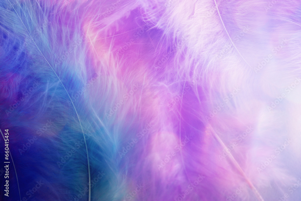 Background of delicate pastel feathers