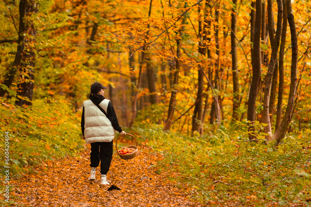 woman in autumn forest looking for mushrooms woman in autumn forest looking for mushrooms