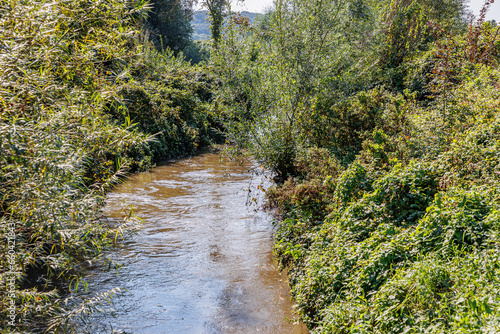 Jeker river among abundant lush wild vegetation, green tree foliage in misty background, narrow stream with sunlight reflected on water surface, sunny summer day in Kanne, Riemst, Belgium photo