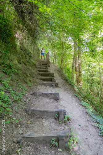 Fototapeta Naklejka Na Ścianę i Meble -  Ecological stairs on a steep slope among leafy trees in Thier de Lanaye nature reserve, female hiker standing on top in background, Belgian part of Sint-Pietersberg, sunny day in Vise, Belgium