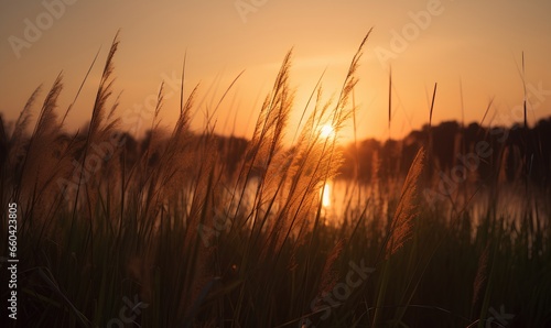 a forest of reeds at sunset _Generative AI