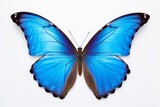 blue butterfly with beautiful wings generative ai
