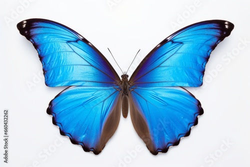 blue butterfly with beautiful wings generative ai  © gilangedo