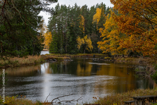 Salmon river landscape in autumn. Farnebofjarden national park in north of Sweden.