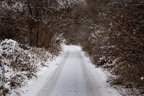 Scenic view of a dirt road in a forest in snow