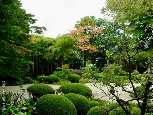 Picturesque garden scene featuring lush vibrant foliage in Kyoto, Japan