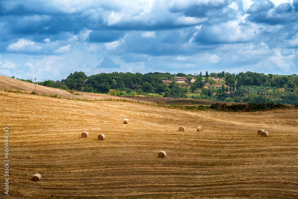 Rural landscape in Val d Orcia, Tuscany, at summer