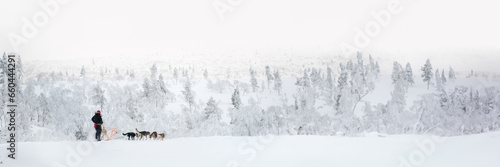 Husky dog sledding in Lapland, Finland, panoramic winter header