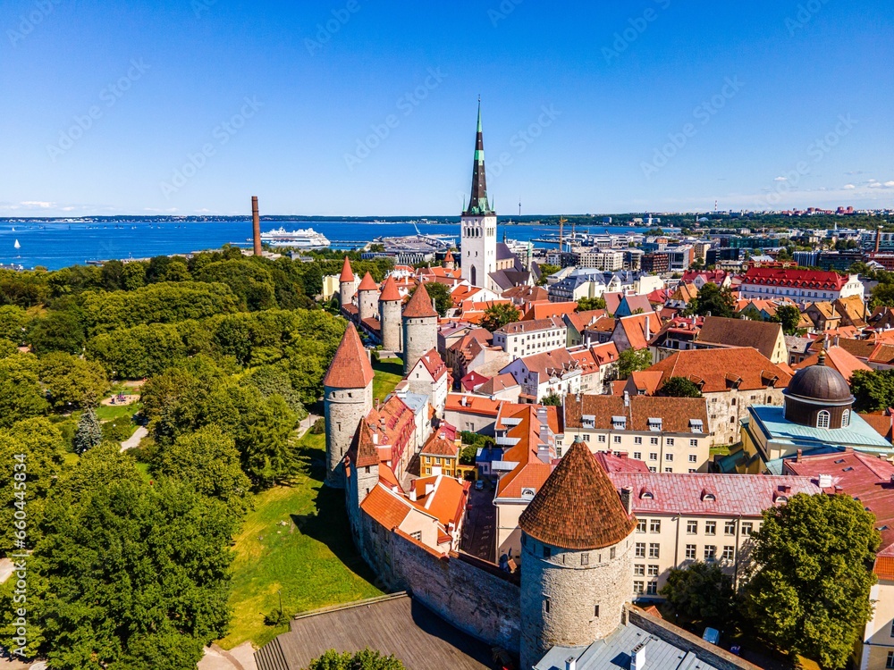 a scenic view of old city buildings and trees in tallinn - obrazy, fototapety, plakaty 