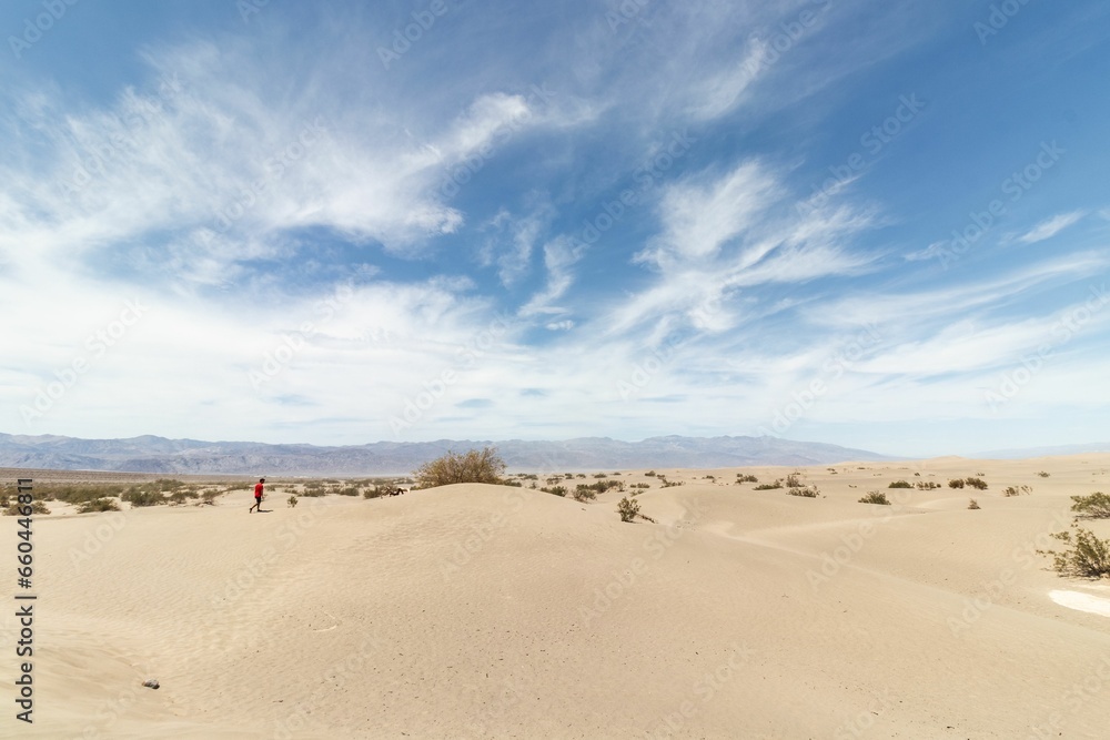 a lone person stands in a desert with a sky background