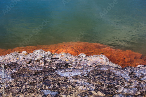 Geothermal springs of Rotorua New Zealand