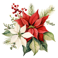 Watercolor Christmas poinsettia flower isolated clipart
