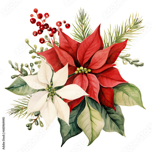 Watercolor Christmas poinsettia flower isolated clipart