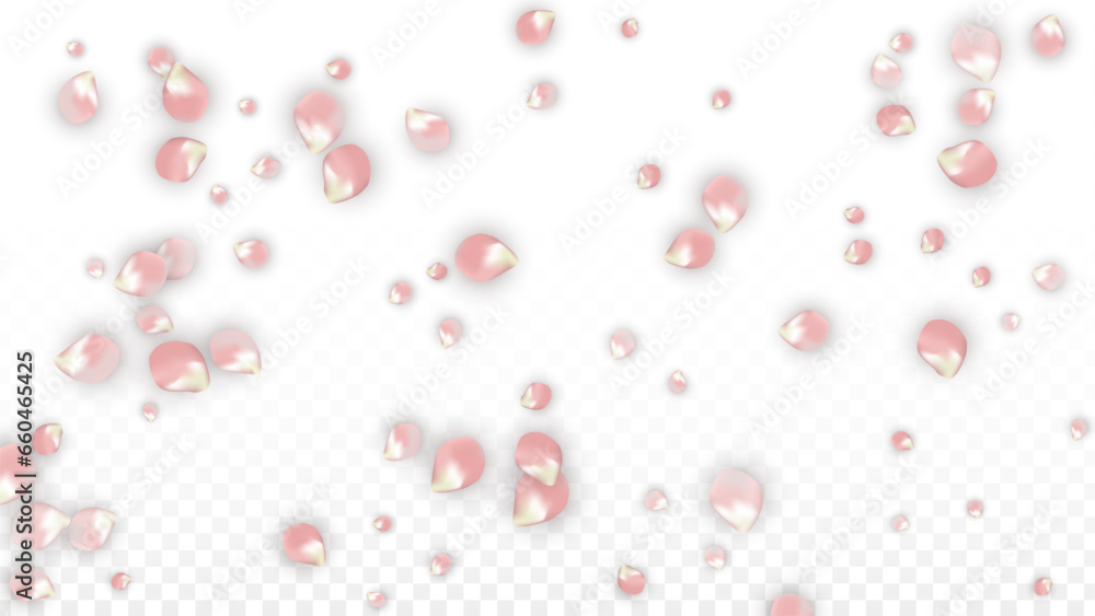 Pink Vector Realistic Petals Falling on Transparent Background. Spring Romantic Flowers Illustration. Flying Petals. Sakura Spa Design. Blossom Confetti. Design Elements for Wedding Decoration. Pink Vector Realistic Petals Falling on Transparent Background. Spring Romantic Flowers Illustration. Flying Petals. Sakura Spa Design. Blossom Confetti. Design Elements for Wedding Decoration.