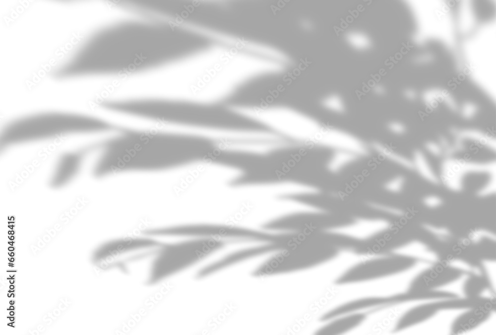 背景イラスト_木漏れ日 背景イラスト_木漏れ日