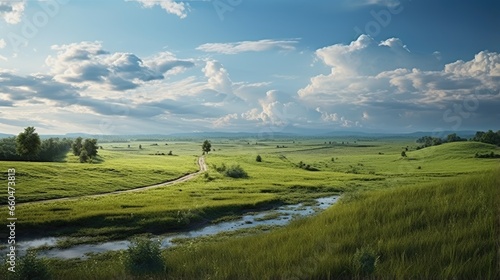 Rural landscape with fields and grass