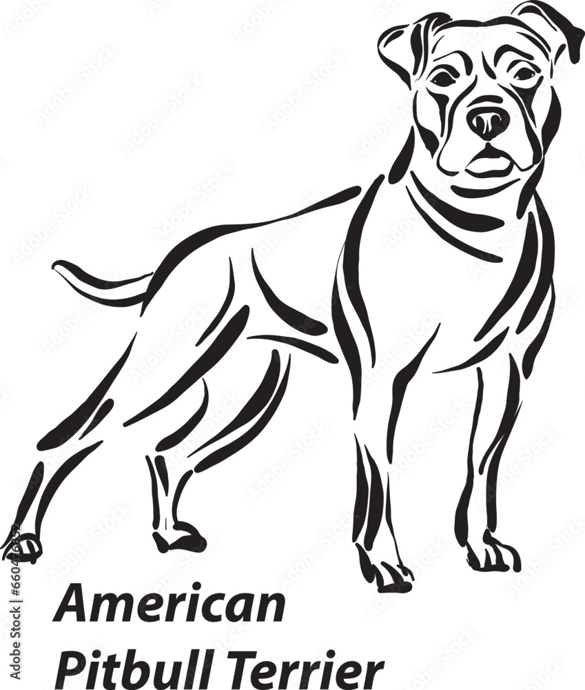 Black And White Dogs American Pitbull Terrier Breed Design Line Art black-and-white-dogs-american-pitbull-terrier-breed-design-line-art