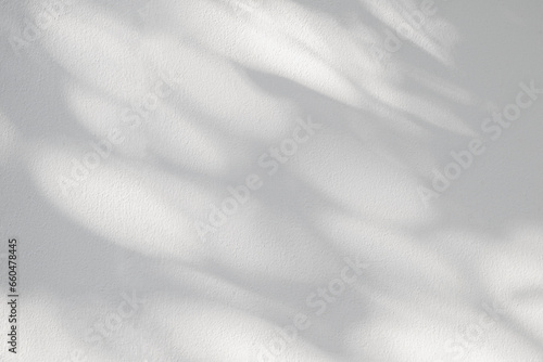 Light and shadow of leaf abstract grey background. Natural shadows and sunshine diagonal refraction on white concrete wall texture. Shadow overlay effect for foliage mockup, banner graphic layout photo