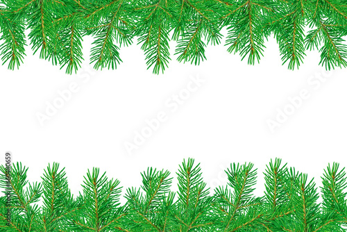 Christmas fir branches isolated on transparent background. Christmas and New Year concept.