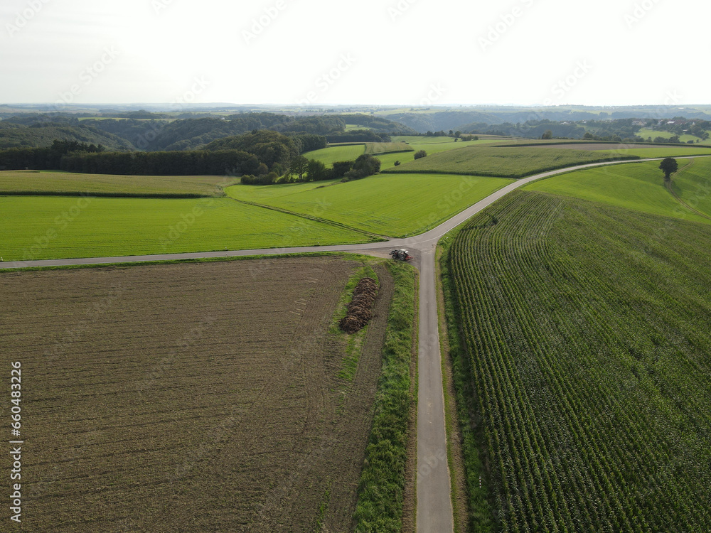Aerial view of a countryside with a rural asphalt road between fields 