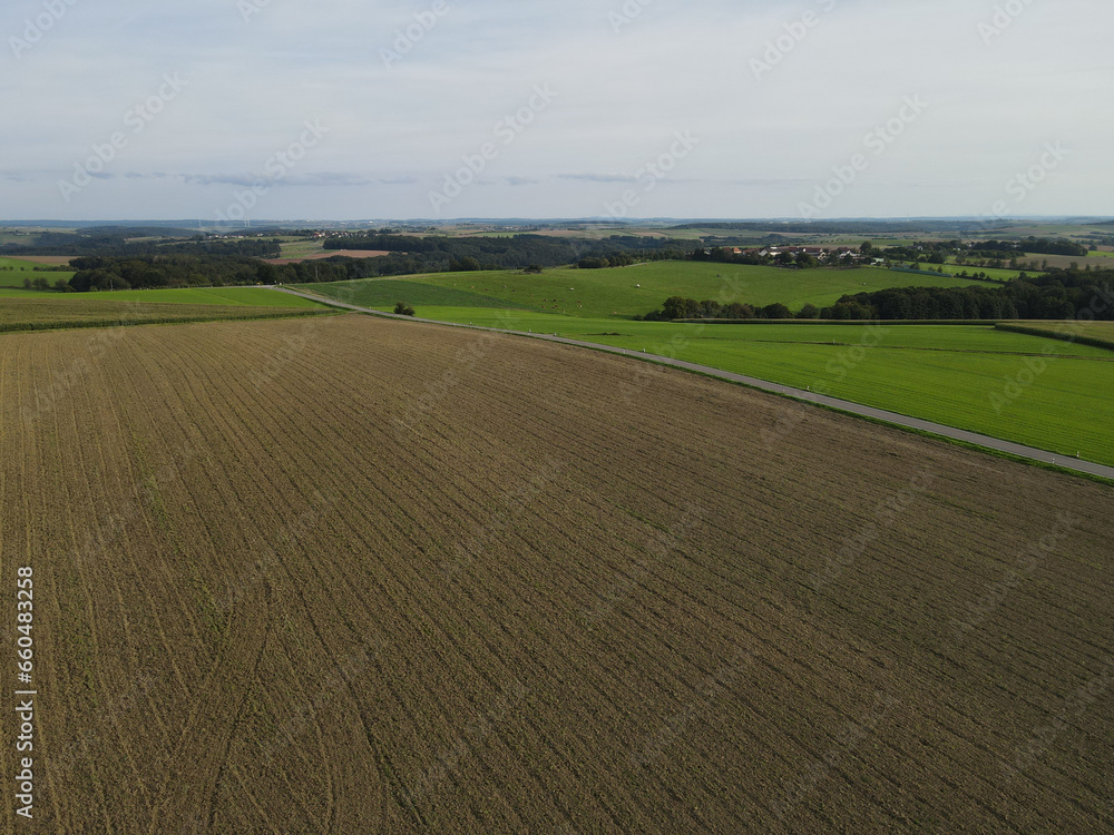 Drone view of a countryside with agriculture fields, trees and a asphalt road 