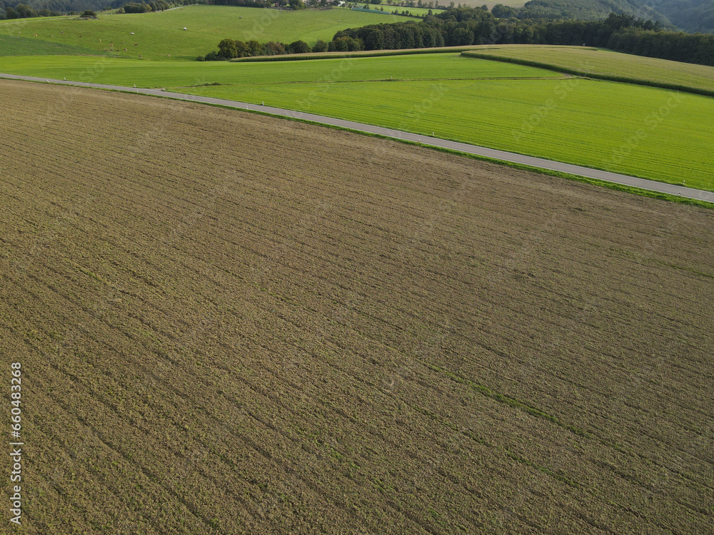 Countryside with a plowed field, grass, trees and a road in summer 