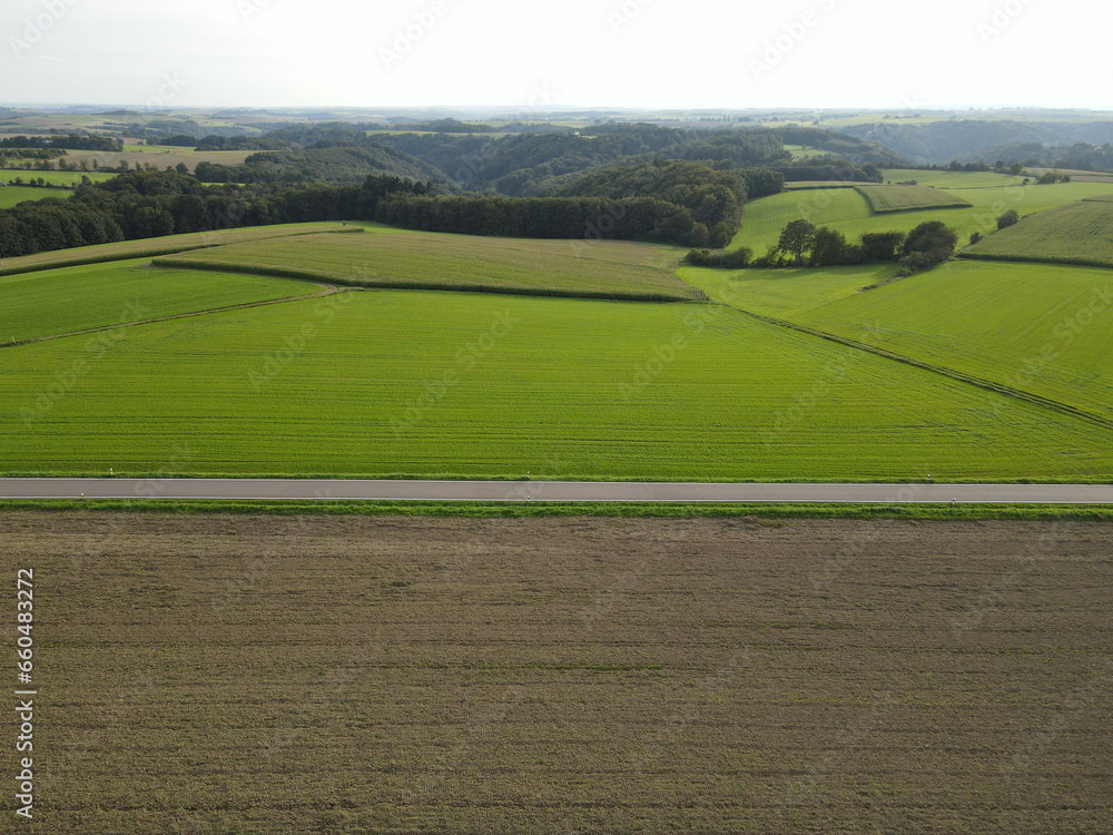 View of a landscape with brown and  green agriculture fields, trees and a road from above in summer 