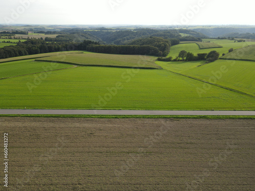 View of a landscape with brown and green agriculture fields, trees and a road from above in summer 