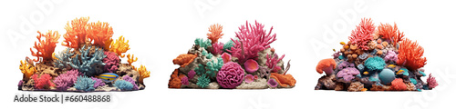 Collection of set Coral reef isolated on transparent background. PNG file, cut out